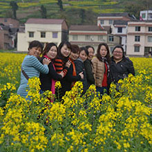 ��ְ֯������